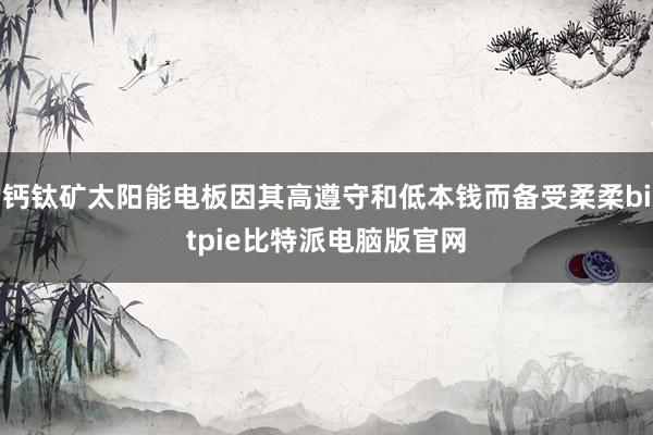 钙钛矿太阳能电板因其高遵守和低本钱而备受柔柔bitpie比特派电脑版官网