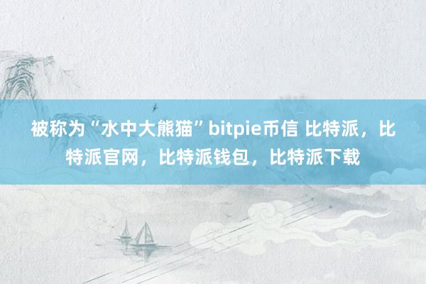 被称为“水中大熊猫”bitpie币信 比特派，比特派官网，比特派钱包，比特派下载