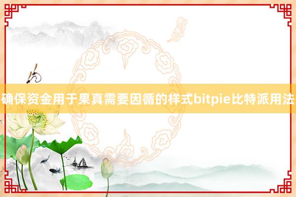 确保资金用于果真需要因循的样式bitpie比特派用法