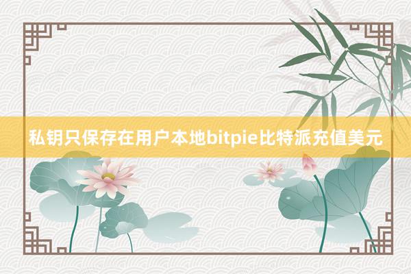 私钥只保存在用户本地bitpie比特派充值美元