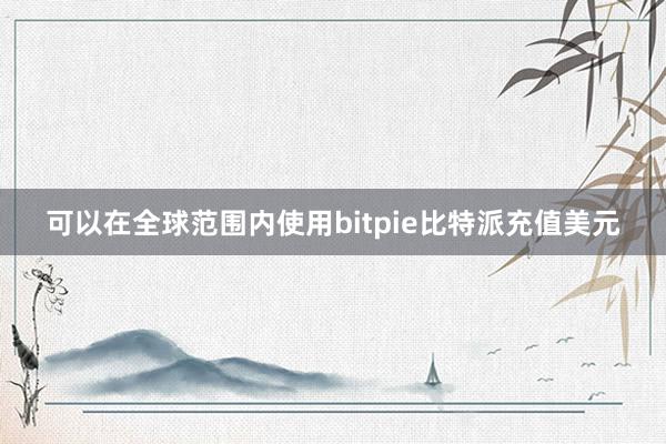 可以在全球范围内使用bitpie比特派充值美元