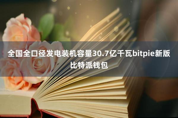 全国全口径发电装机容量30.7亿千瓦bitpie新版比特派钱包