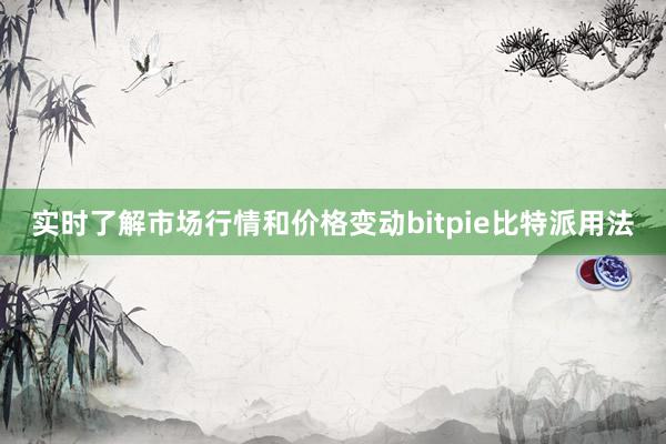 实时了解市场行情和价格变动bitpie比特派用法