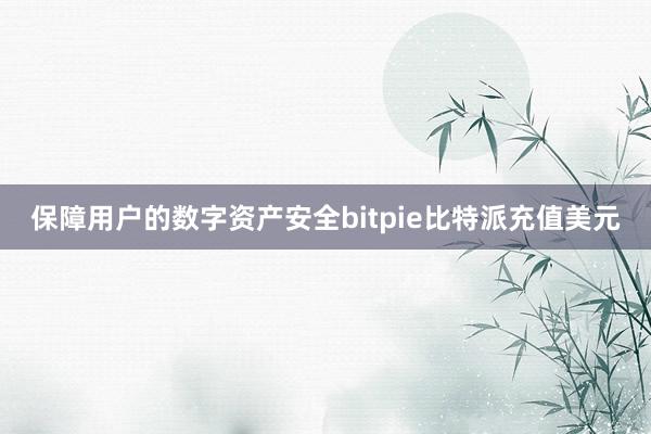 保障用户的数字资产安全bitpie比特派充值美元