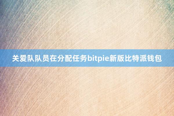 关爱队队员在分配任务bitpie新版比特派钱包