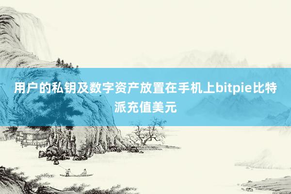 用户的私钥及数字资产放置在手机上bitpie比特派充值美元