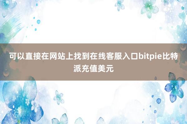 可以直接在网站上找到在线客服入口bitpie比特派充值美元