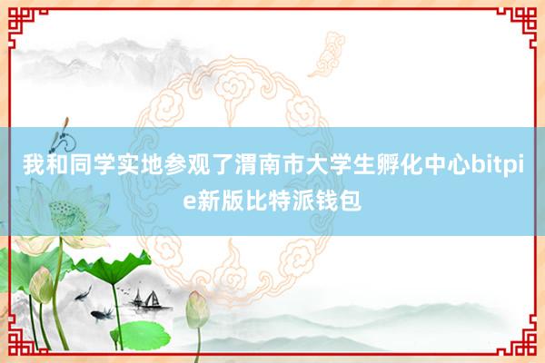 我和同学实地参观了渭南市大学生孵化中心bitpie新版比特派钱包