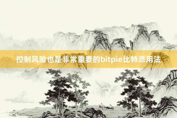 控制风险也是非常重要的bitpie比特派用法