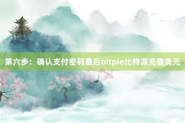 第六步：确认支付密码最后bitpie比特派充值美元