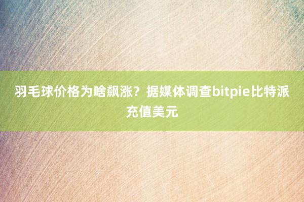 羽毛球价格为啥飙涨？据媒体调查bitpie比特派充值美元