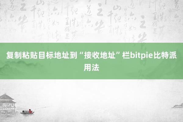 复制粘贴目标地址到“接收地址”栏bitpie比特派用法