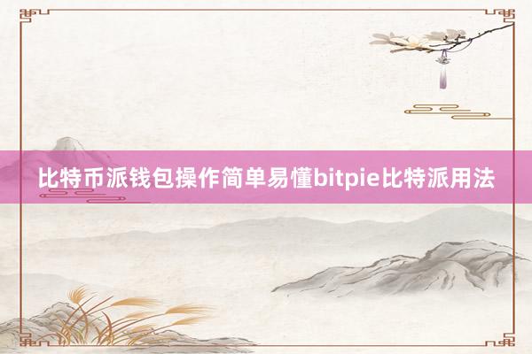 比特币派钱包操作简单易懂bitpie比特派用法