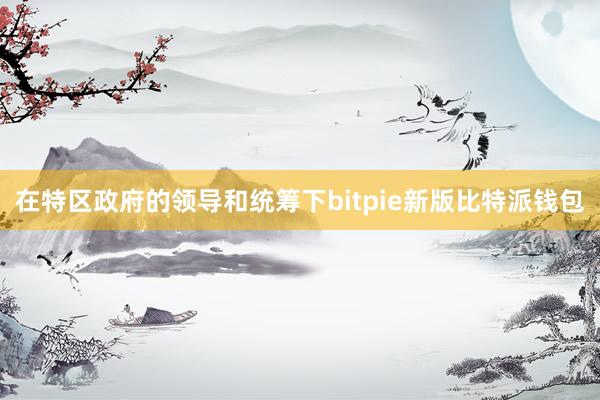 在特区政府的领导和统筹下bitpie新版比特派钱包