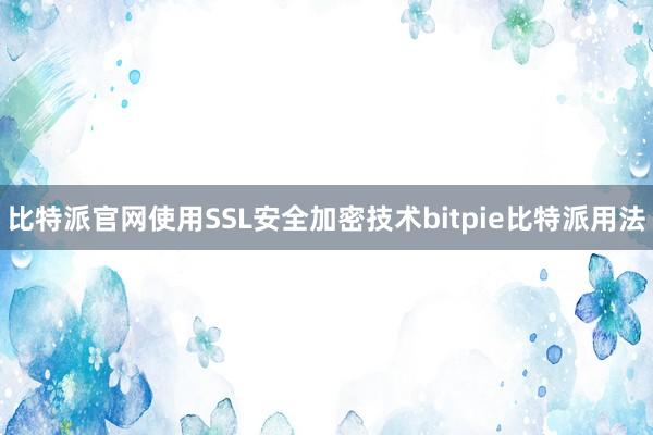 比特派官网使用SSL安全加密技术bitpie比特派用法