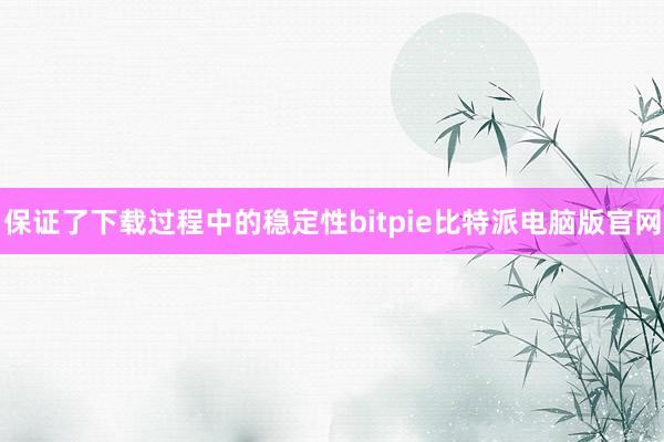 保证了下载过程中的稳定性bitpie比特派电脑版官网