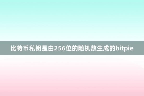 比特币私钥是由256位的随机数生成的bitpie