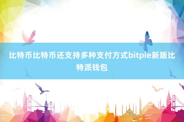 比特币比特币还支持多种支付方式bitpie新版比特派钱包