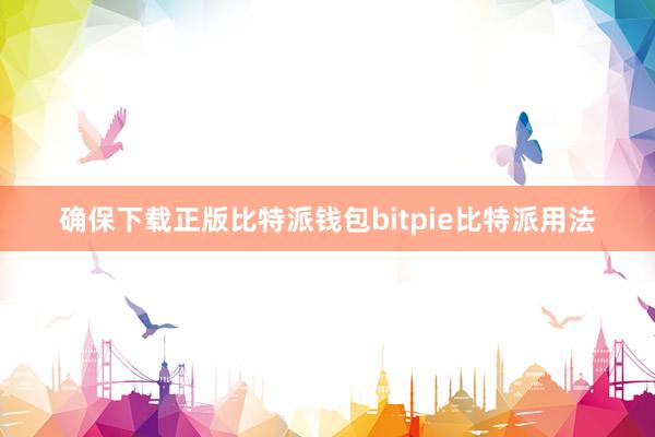 确保下载正版比特派钱包bitpie比特派用法