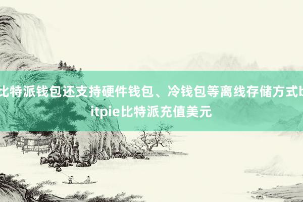 比特派钱包还支持硬件钱包、冷钱包等离线存储方式bitpie比特派充值美元