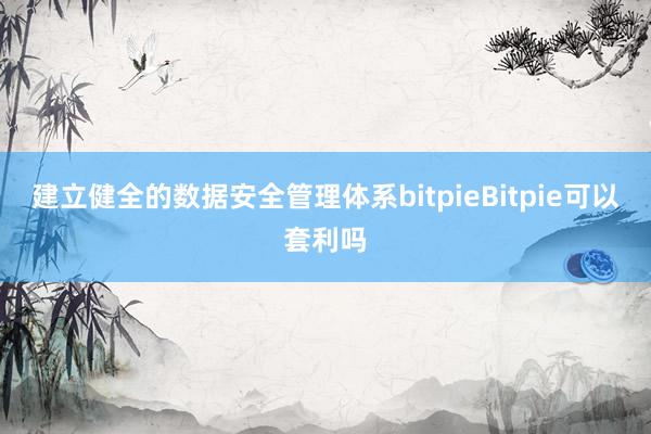 建立健全的数据安全管理体系bitpieBitpie可以套利吗