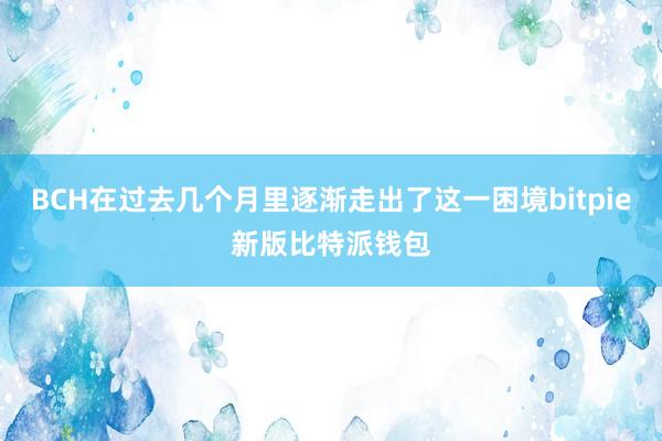 BCH在过去几个月里逐渐走出了这一困境bitpie新版比特派钱包