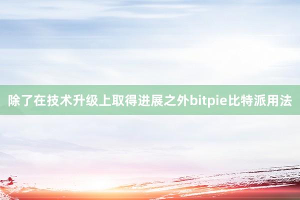 除了在技术升级上取得进展之外bitpie比特派用法