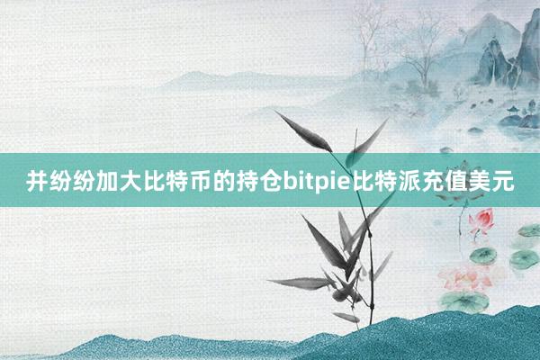 并纷纷加大比特币的持仓bitpie比特派充值美元