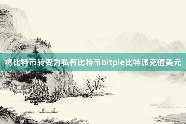 将比特币转变为私有比特币bitpie比特派充值美元