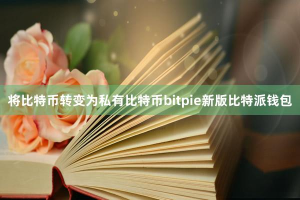 将比特币转变为私有比特币bitpie新版比特派钱包