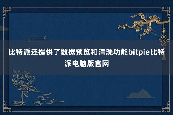 比特派还提供了数据预览和清洗功能bitpie比特派电脑版官网