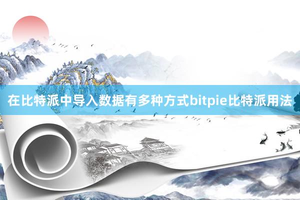 在比特派中导入数据有多种方式bitpie比特派用法