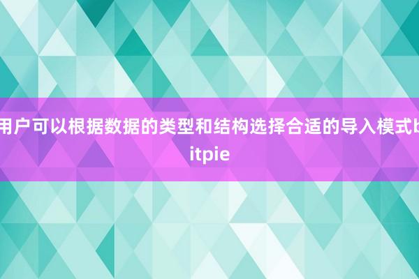 用户可以根据数据的类型和结构选择合适的导入模式bitpie