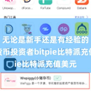 无论是新手还是有经验的数字货币投资者bitpie比特派充值美元