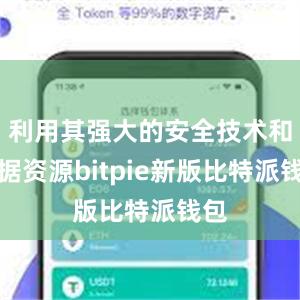 利用其强大的安全技术和数据资源bitpie新版比特派钱包