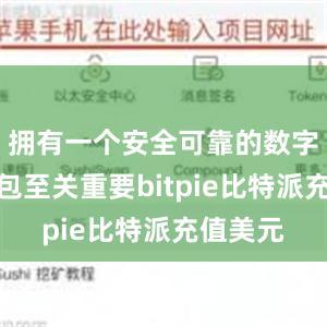 拥有一个安全可靠的数字资产钱包至关重要bitpie比特派充值美元