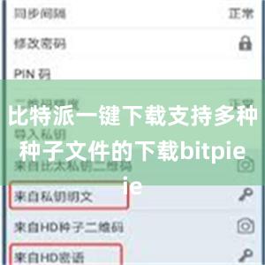 比特派一键下载支持多种种子文件的下载bitpie