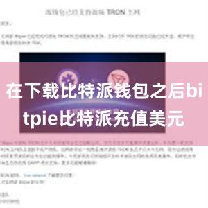 在下载比特派钱包之后bitpie比特派充值美元