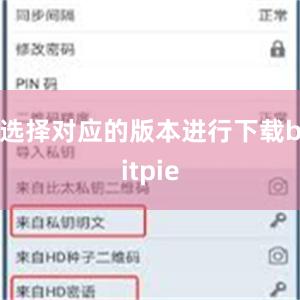 选择对应的版本进行下载bitpie