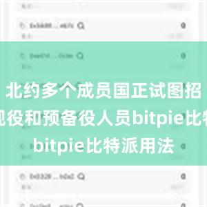 北约多个成员国正试图招募更多现役和预备役人员bitpie比特派用法