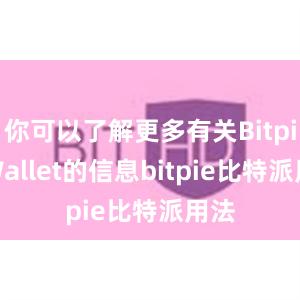 你可以了解更多有关Bitpie Wallet的信息bitpie比特派用法