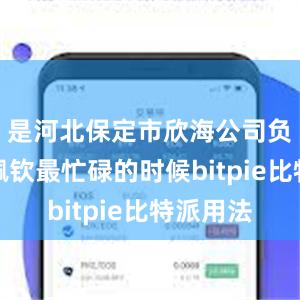 是河北保定市欣海公司负责人杨佩钦最忙碌的时候bitpie比特派用法