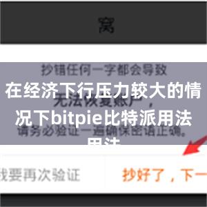 在经济下行压力较大的情况下bitpie比特派用法