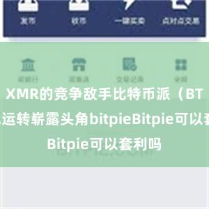 XMR的竞争敌手比特币派（BTC）也运转崭露头角bitpieBitpie可以套利吗