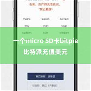 一个micro SD卡bitpie比特派充值美元